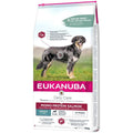 Futter Eukanuba Daily Care Erwachsener Lachsfarben Fisch 12 kg