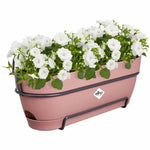 Blumenkasten Elho   50 cm Rosa Kunststoff