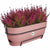 Blumenkasten Elho   50 cm Rosa Kunststoff