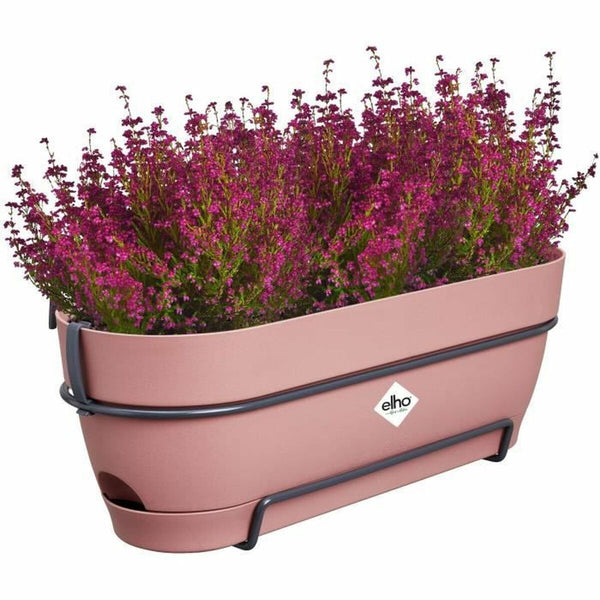 Blumenkasten Elho   50 cm Rosa Kunststoff