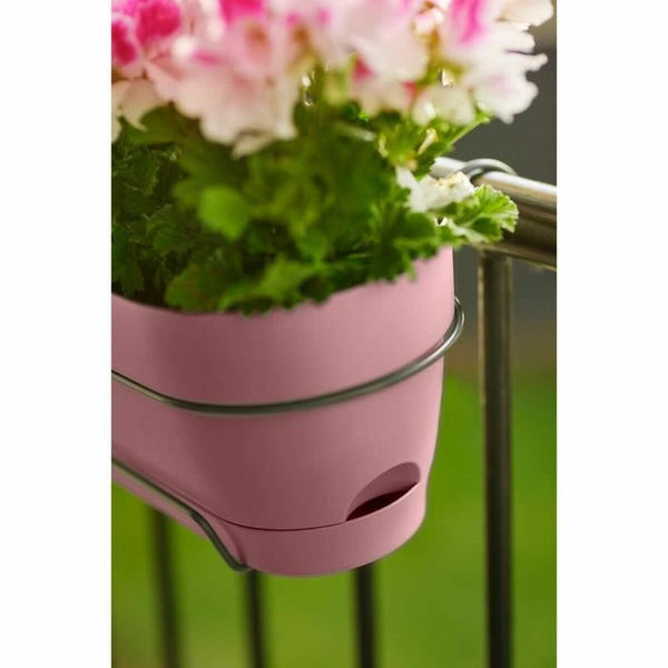 Blumenkasten Elho   50 cm Rosa Kunststoff