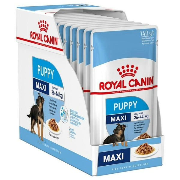 Nassfutter Royal Canin Maxi Puppy 10 x 140 g